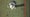 hal sutton overhead driver view