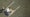 overhead view of hal sutton's swing
