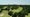 Memorial Park Houston Open